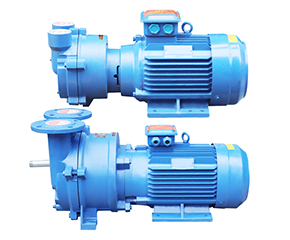 2BV水(shui)環真空(kong)泵 直連(lián)式防爆(bào)真空泵(bèng)